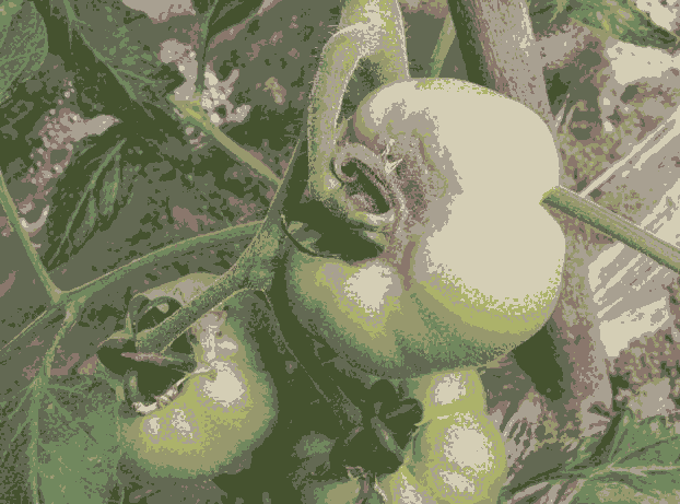 ݮùˎ rˎùֹ͇FЧ