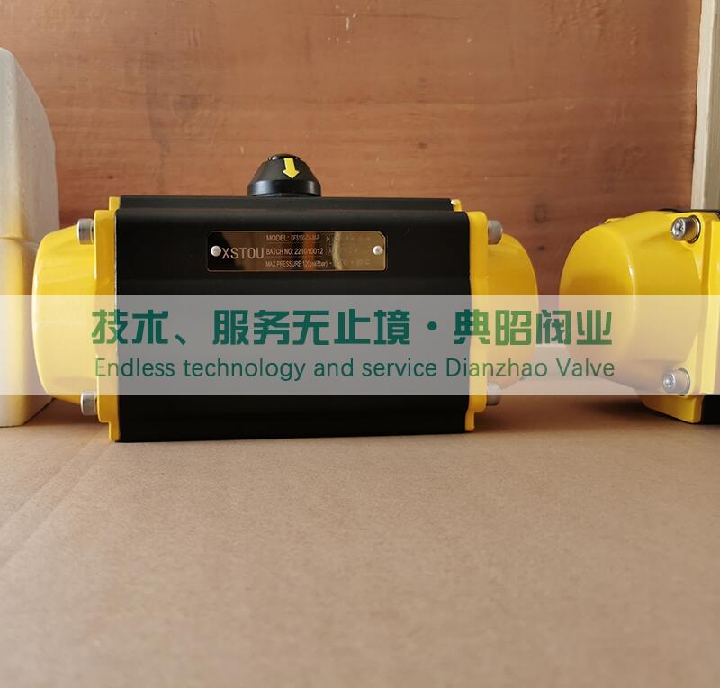 XSTOU DFS100-DA-M-P(dng)(zh)