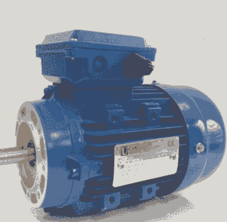 UCAN늙C(j)MT56B-4 MT71B 80B-4 90L-4 MT100LA 112M