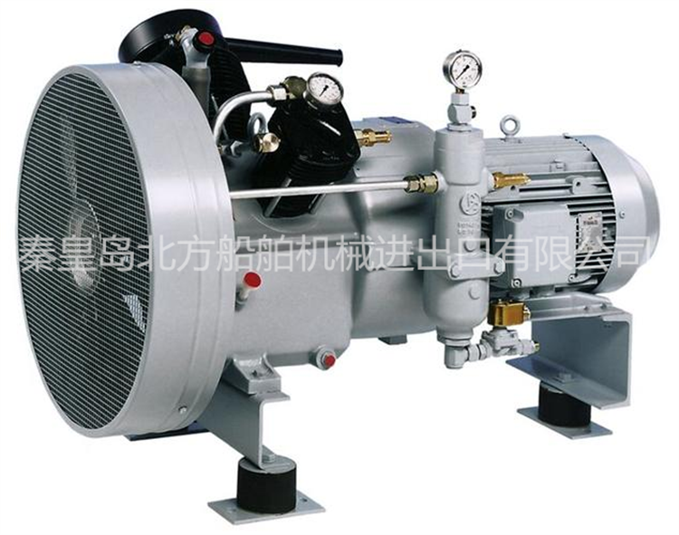 BSAUER WP250LՉCa