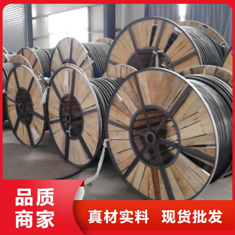 |WDZ-BPYJVP-3*10+1*6.0
