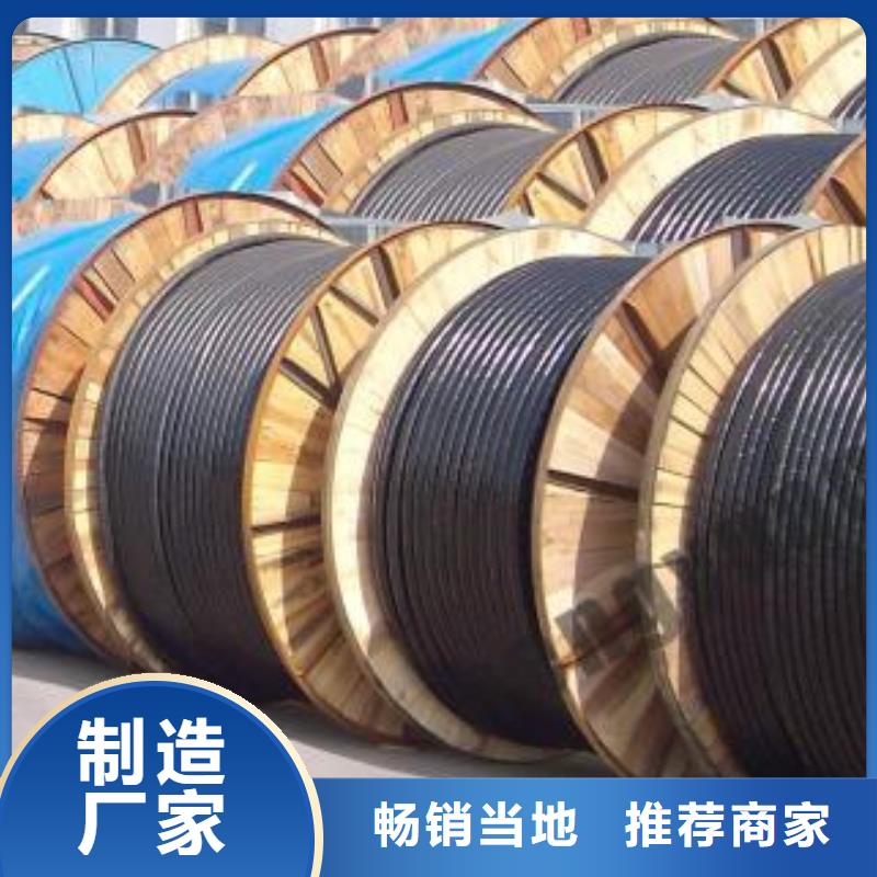 (lin)|100X2X0.8ZR-HPYV-