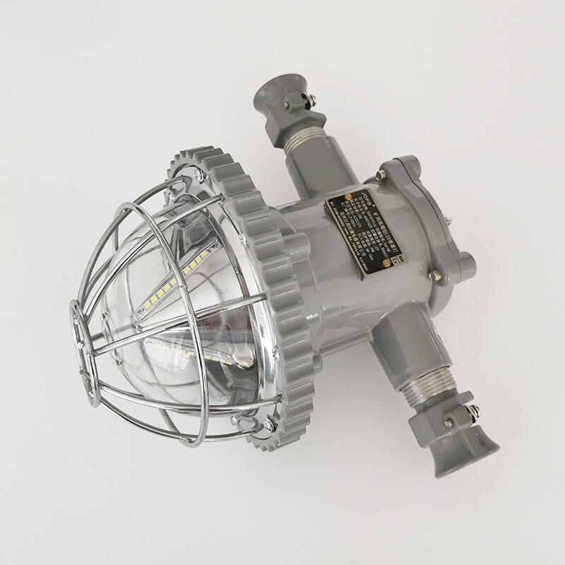 DGS20/127L20WledV
