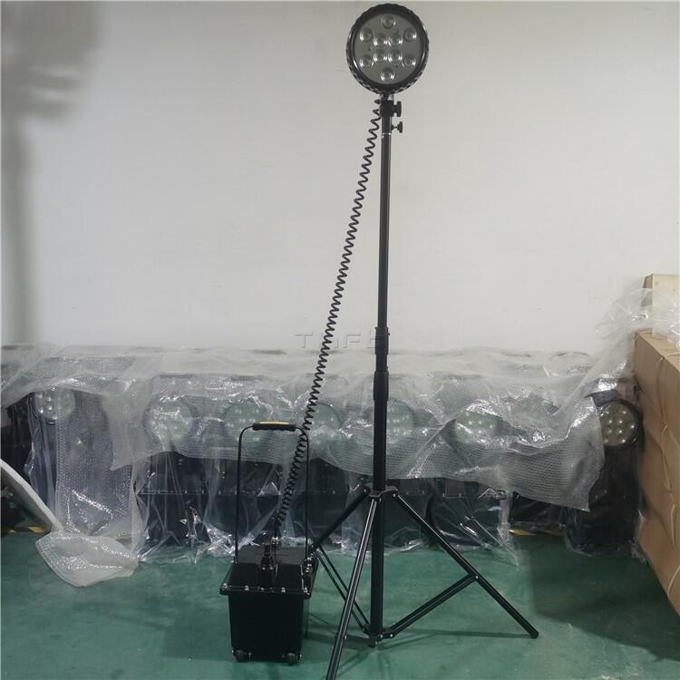 ҹgޑ30W