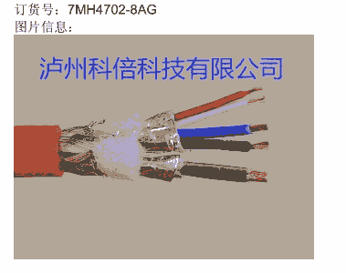 T7MH4960-2AA01QģK