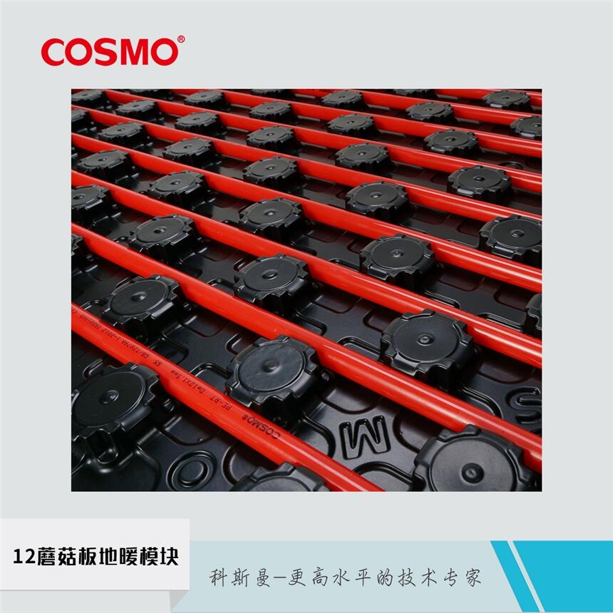 ˹c(din)osmo12ĢůģKʯīů