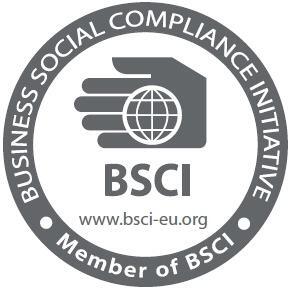 BSCIJCSoBSCITLՄ