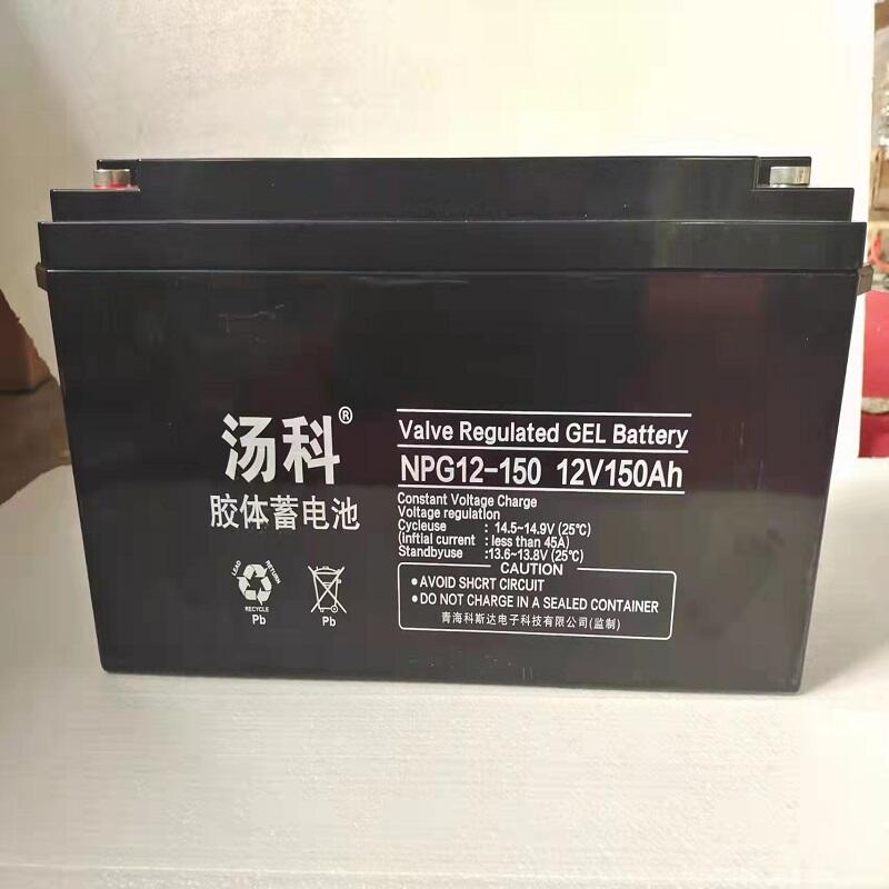 zw늳12V150AHNPG12150USo̫·UPSEPSԴ