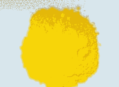 S2GS