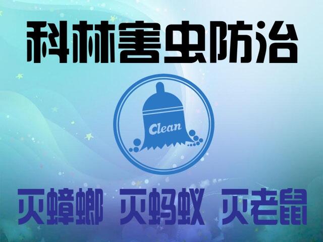 늿Xꖼͥ