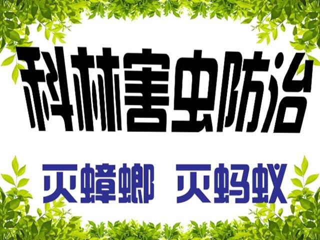 ꖜ롢ꖜ빫˾ꖲʺ