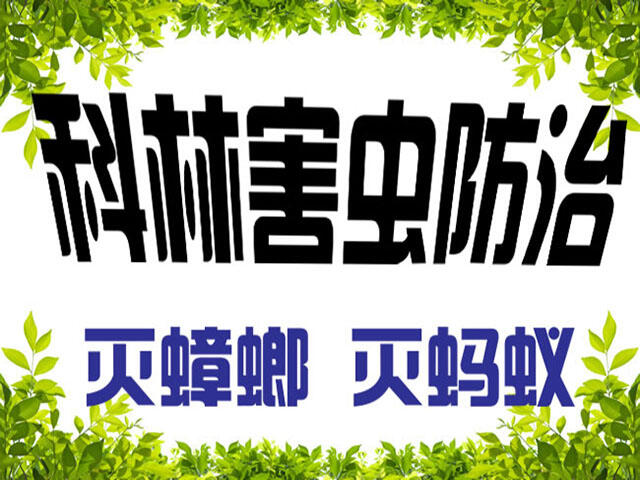ꖜ빫˾fɜ롰ġ