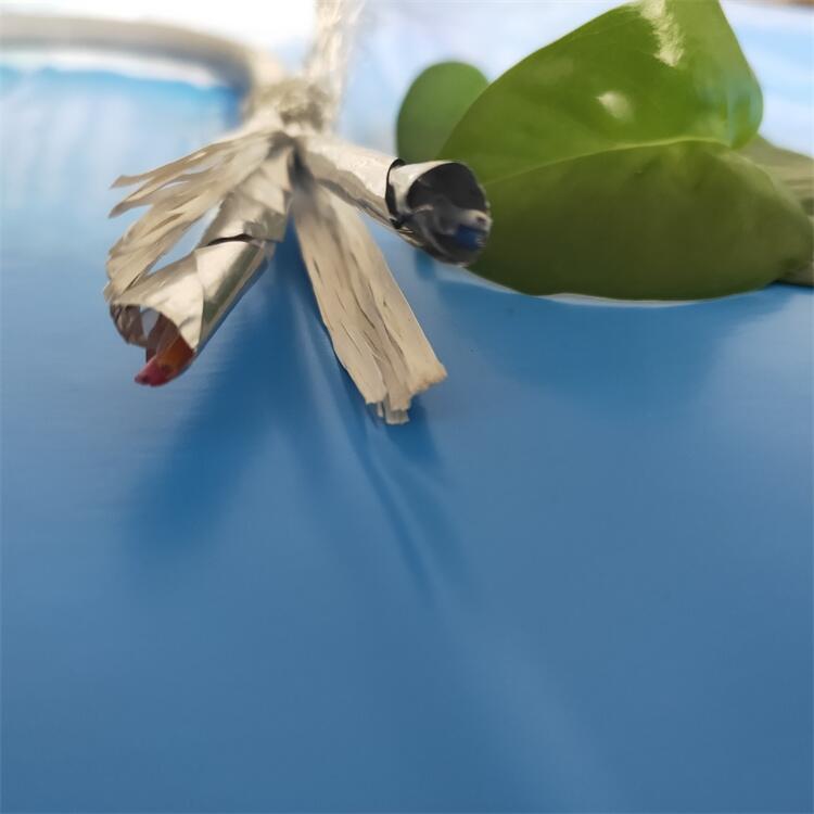 RS485ͨ|4*2.5ҎRȫSҬF؛