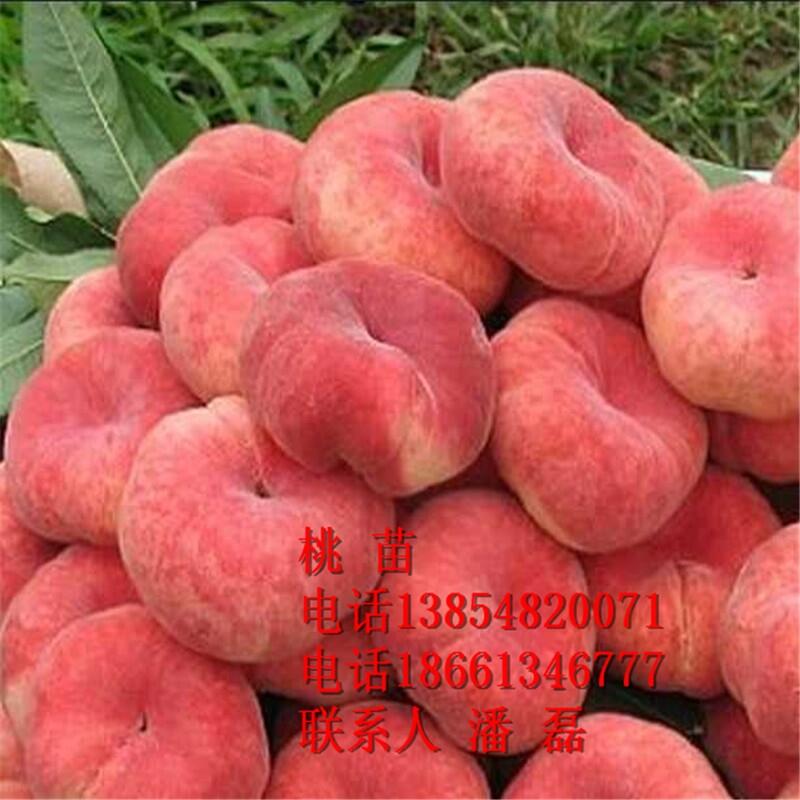 Ҙ硢ҘƷNҘr