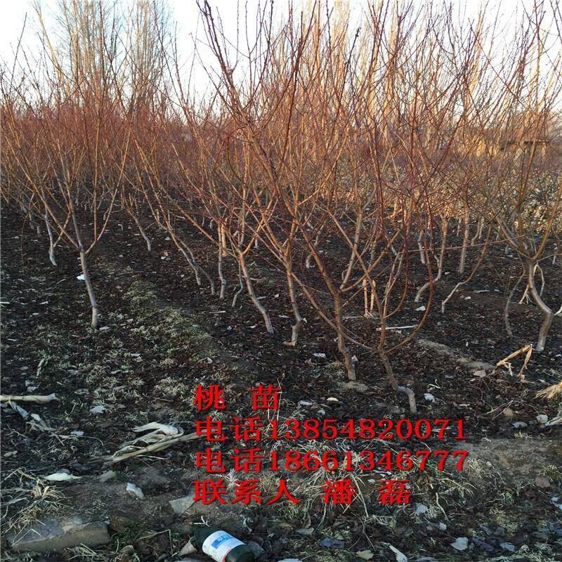 3Ҙ硢3ҘƷN3Ҙr