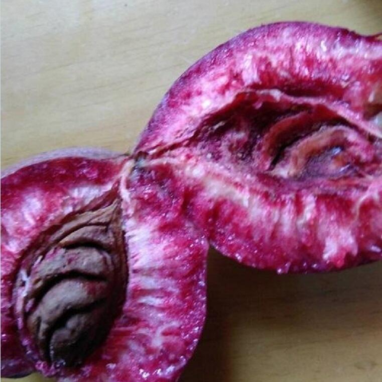 ƷNҘ