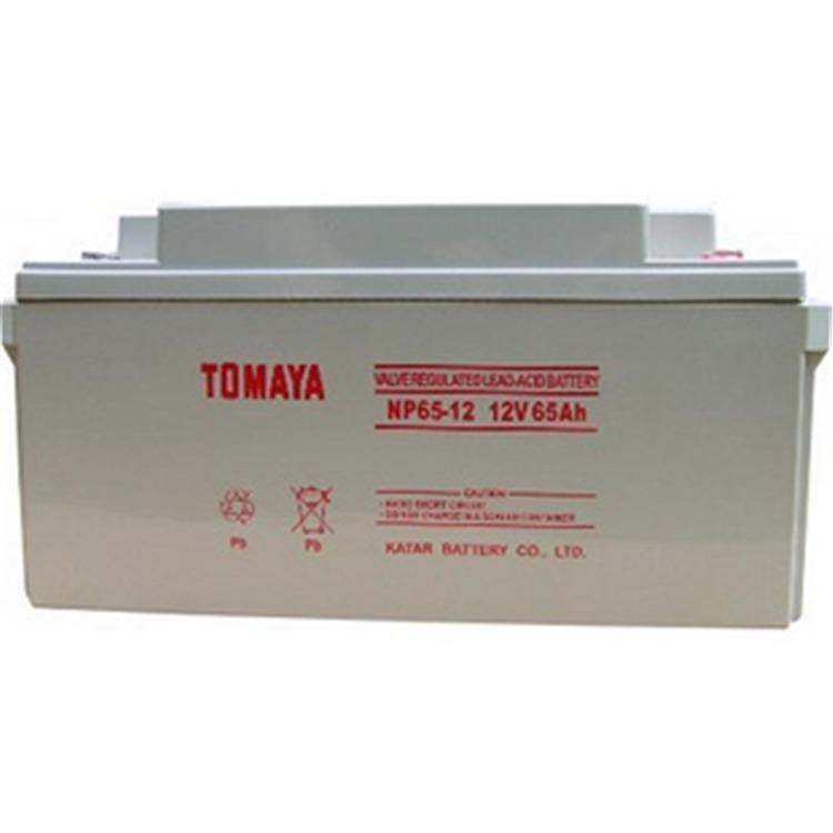 TOMAYAɽ늳NP65-12g