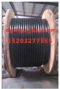 FS-YJY23ˮzb|