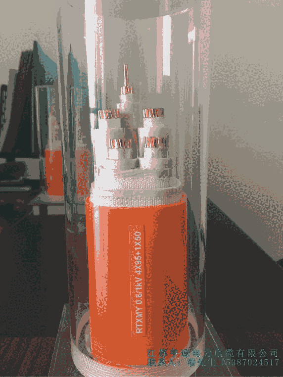 ͨFRTXMYRTXGRTXGYYFD-RTXMY|V^
