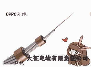 oppc|SA^Ԓ