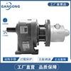 GANGONGIŤ؜pٚR_GG4AML-5DR_pٙC