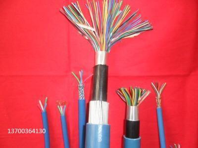 wd-myjva20*2*0.6һ[2025Ѹ(/YӍ