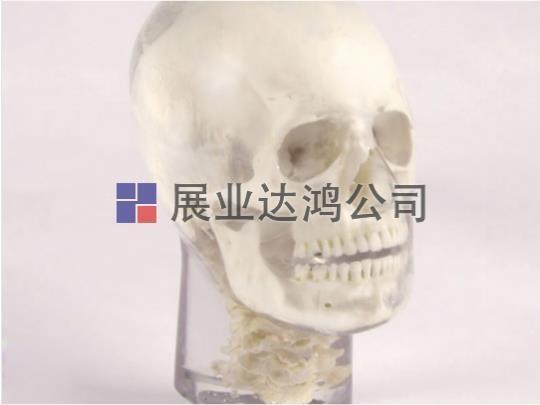 QUART X侀^ģw