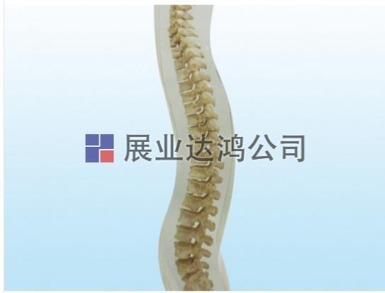 QUART X侀ģw
