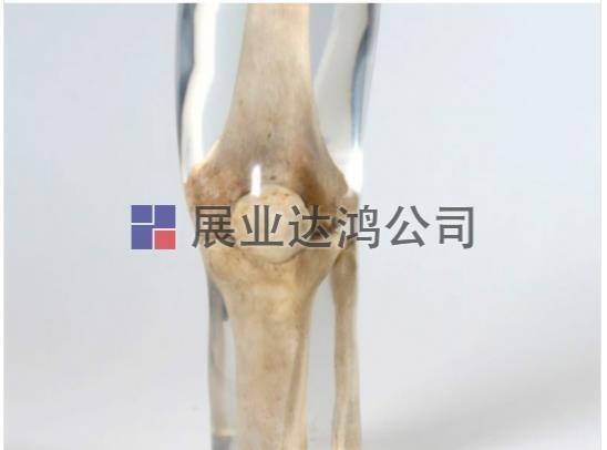 QUART X侀ϥwģw