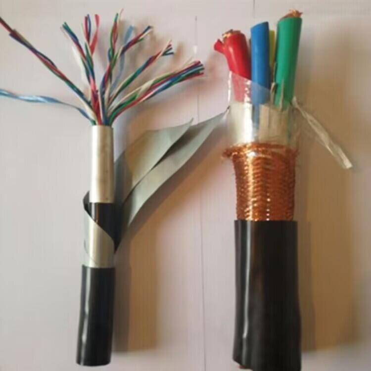 ZR-HYV10*2*0.4ȼͨ|