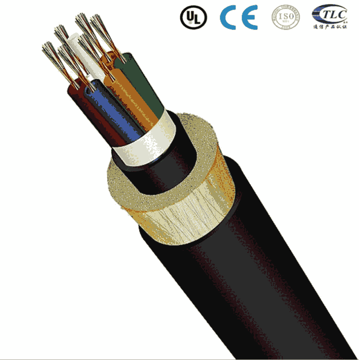 й|S ADSS-24B1-300̖r ADSS ATo׹|