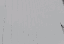 䓷·zS