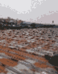 䓷wl