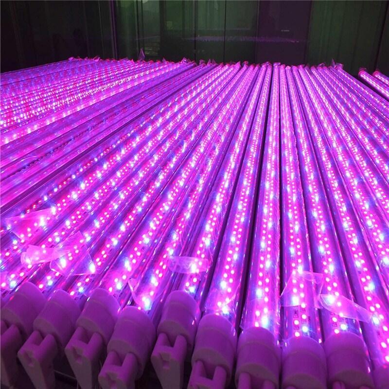 LEDֲ T8ȫVֲ ֲL t{(ln)ֲ  ˮֲ