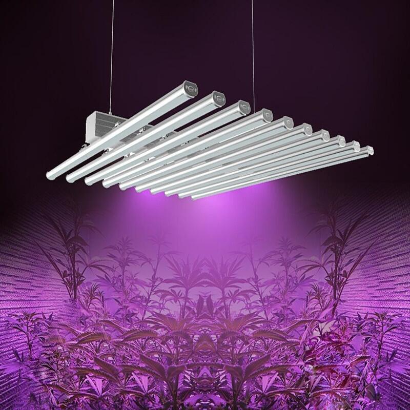 NˎNֲ480Wצ~ֲ ҷNֲ LEDֲ leda(b)