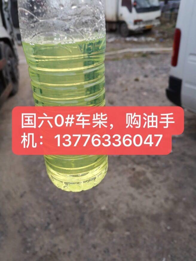 K݇(bio)̓r(ji)K݇