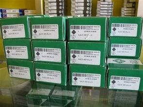 hMSGE300ES-2RSuMڹS
