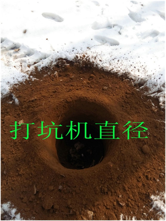늾UڿәC 늾UڿәCʴәC ڔy