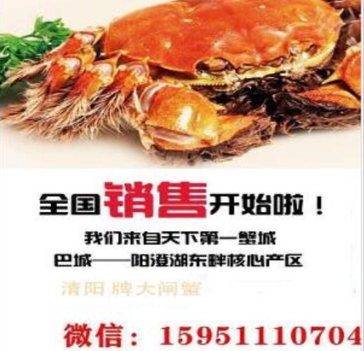 Ž䌎ˮ޵°ꖳκlз̼˴lFُ