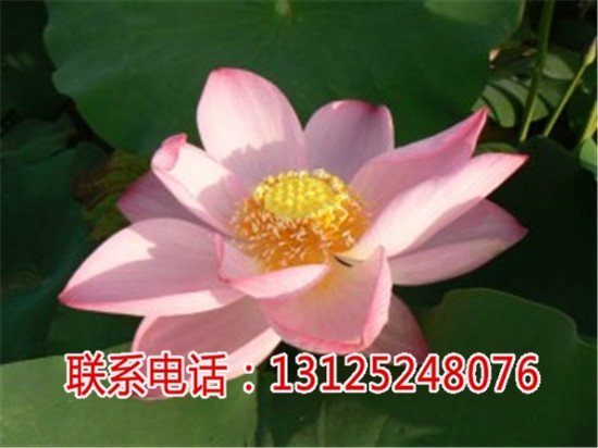 ̫ɏNӷN_ɏS_Vǧخa