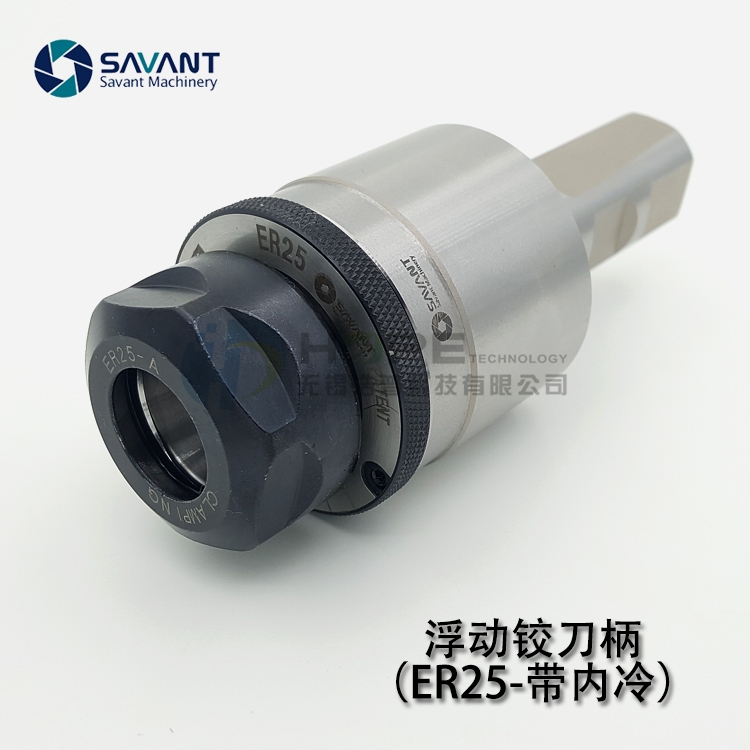 ER25q|ĸq|ԄӶĿ{