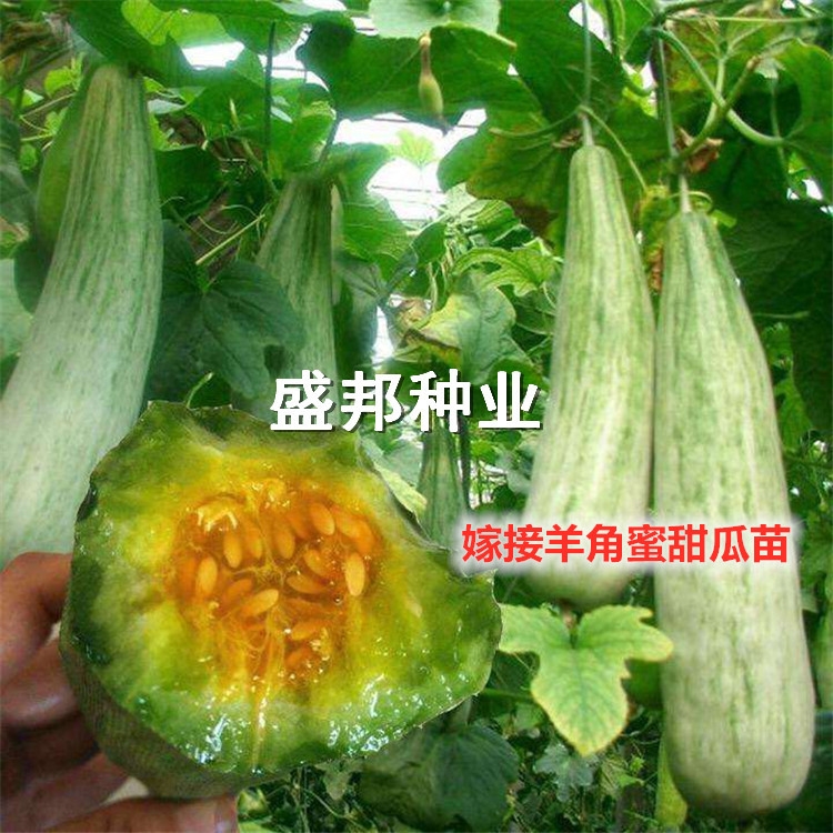 ޽/ֱ   G  ϵ