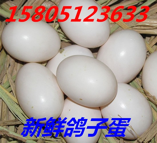 ӵôuuӵ