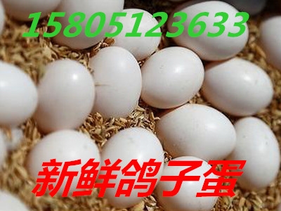 ӵгu