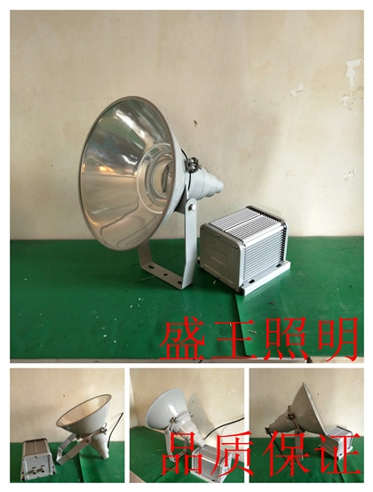 ZL8841-L100W/250WLEDˮm