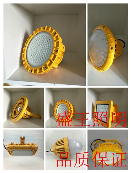 LED픟LZY8610-2-L100W/250W