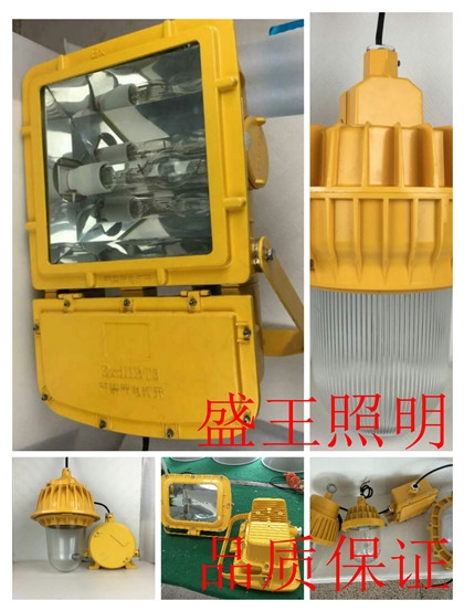 SNF110 SNF110LEDV