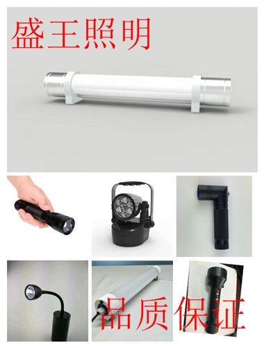 ʢAGVD2917 ʢAGVD2917늳