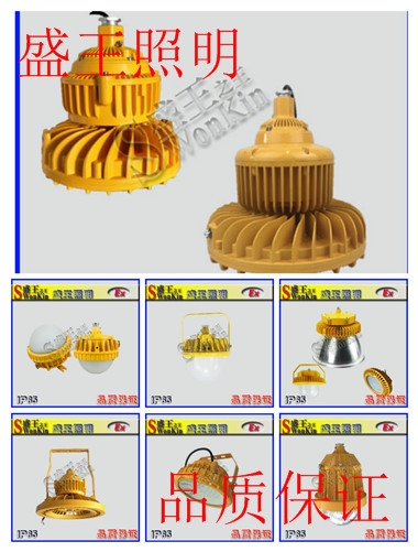 ʢAGVD2917 x늳ʢAGVD2917