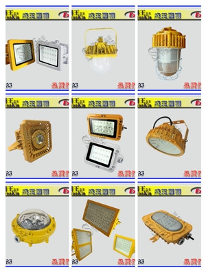 ĴLF-YD-30-024Ƅ(dng)2022Ѹ£/(dng)B(ti)